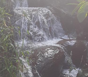Kunchithanny House | Kurinjiyil farmstay munnar