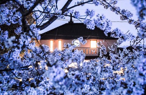 Fukuyama House | kusunoki for women-only guesthouse