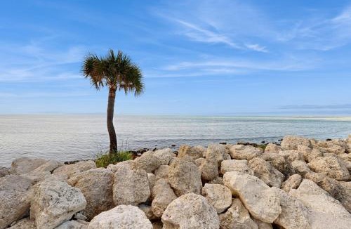 Key West Apartment | KW23 Atlantic Ocean View