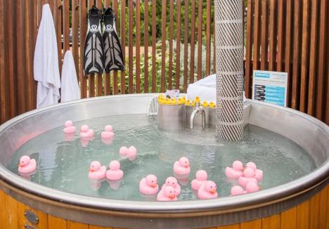 Blackheath Hotel | Kyah