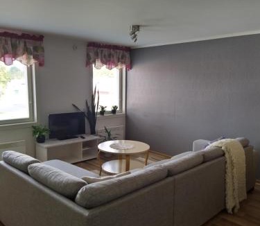Lapvaartti Apartment | Lägenhet Nybrovägen