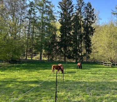 Sart-Dames-Avelines Bed & Breakfast | L'Agolum - B&B Baisy-Thy