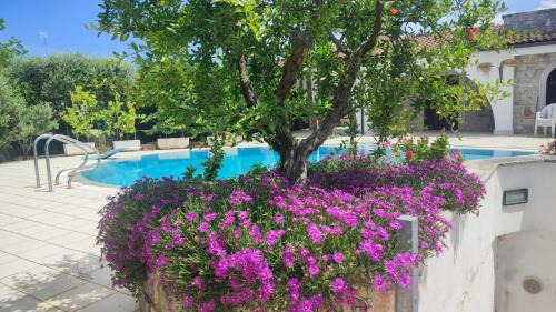 Gorgofreddo Villa | L'Agrumeto Villa & Pool - Puglia Mia Apartments