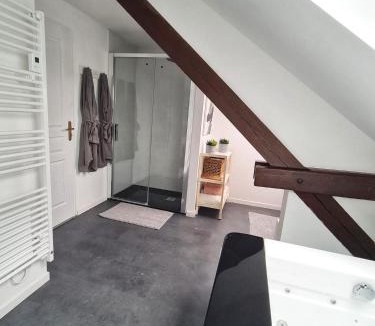 Bitche Apartment | l'Alchimiste - Appartement moderne avec jacuzzi