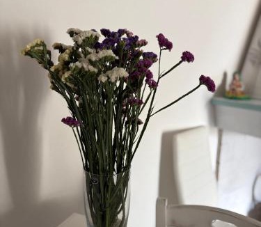Cabras Bed & Breakfast | L'ALGA