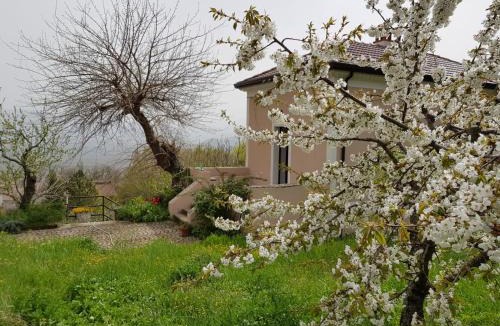 Viggiano Bed & Breakfast | L'Antico Gelso