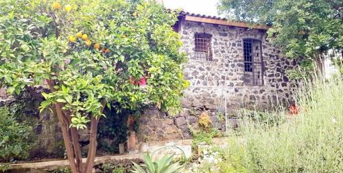 Aci San Filippo House | L'Aranceto