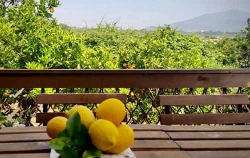 Aci San Filippo House | L'Aranceto