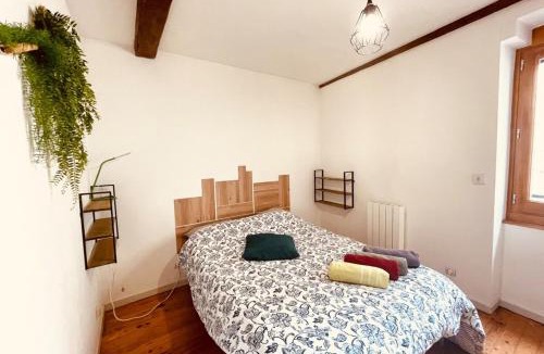 Centre Ville Apartment | L'edelweiss: three-bedroom hypercentre