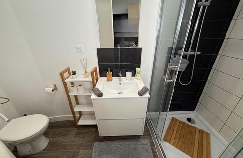 Clermont-Ferrand Apartment | L'endormi - Hypercentre - 10min de Jaude Tout à pied