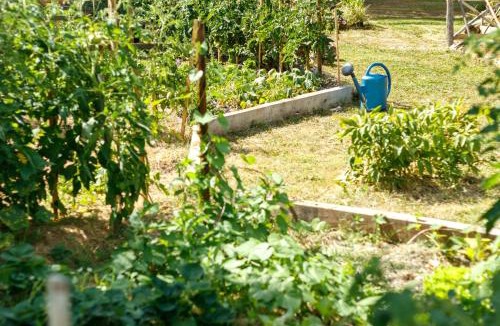 Eyliac House | L'Envol - Oasis Ressource