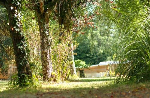 Eyliac House | L'Envol - Oasis Ressource