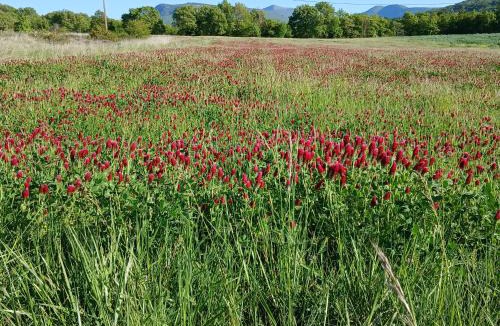 Bourdeaux House | L'Etape de Charme