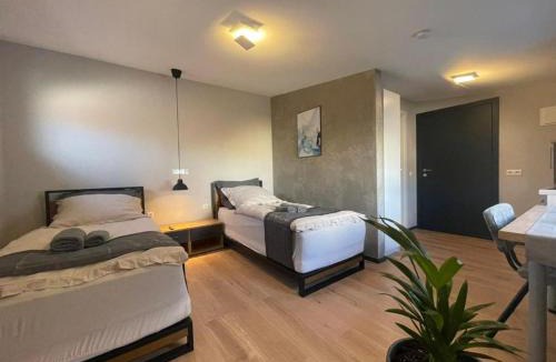 Reilingen Apartment | L'Imeri Residence