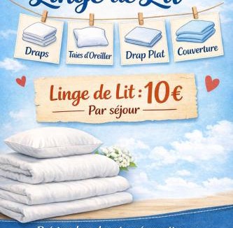 Maxent Other | L insolite