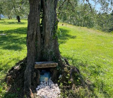 Toiano House | L'isola che non c'é