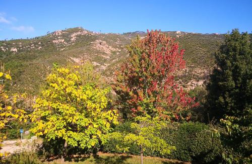 Ucciani Bed & Breakfast | l'Ogliastru
