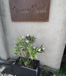 Nouan-sur-Loire Bed & Breakfast | L'Orme Seul, Gîte