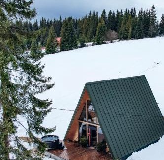 Marisel Ski Chalet | La Știubei Cabin