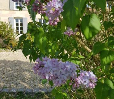 Soussans House | La bastide de Margaux