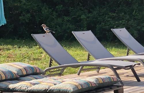 Prayssac Villa | La Bastide des Écureuils-Piscine & Jardin Privé à Prayssac