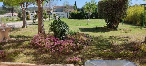 Ales Apartment | La Bedosse