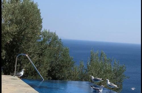 Melinta House | La Bella Villa - Cliffside Infinity Pool and Sunsets