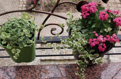 Oberhavel Apartment | la Brigitte