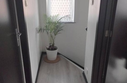 Fleron House | La briquette