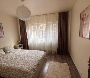 Vulcan Apartment | La Căsă