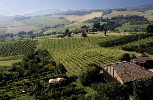 Savignano sul Panaro House | La Ca dal Non - Bioagriturismo