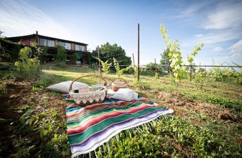Savignano sul Panaro House | La Ca dal Non - Bioagriturismo