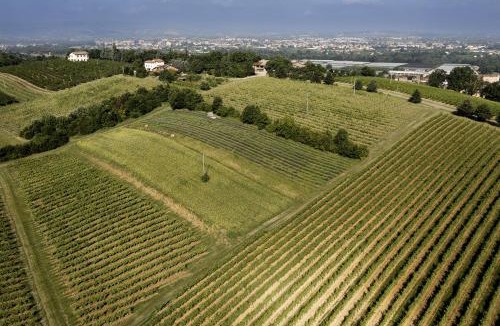 Savignano sul Panaro House | La Ca dal Non - Bioagriturismo