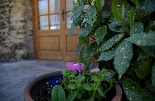 Rocabruna House | La cabanya de Can Planes: un petit gran espai.