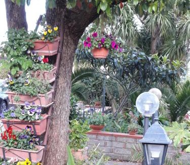 Velletri Bed & Breakfast | La Camelia B&B