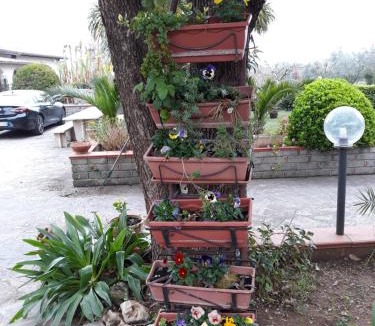 Velletri Bed & Breakfast | La Camelia B&B