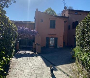 Florence House | La camera nel verde