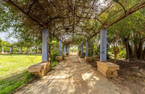 Catral House | La Carrasca - Limón
