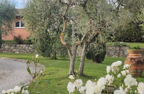 Terranuova Bracciolini House | La Casa delle Rose