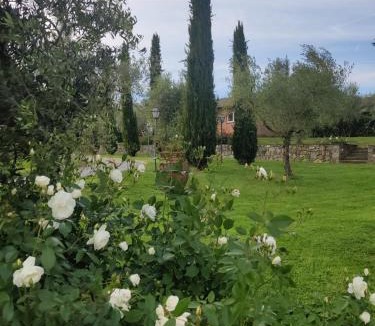 Terranuova Bracciolini House | La Casa delle Rose