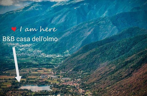 Tarzo House | La casa dell'Olmo