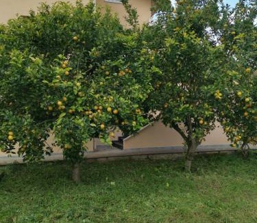 Casa Papa House | La casa di 8
