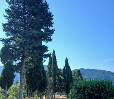 Dicomano House | La Casa di Colle