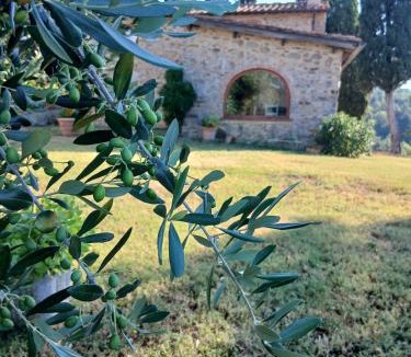 Dicomano House | La Casa di Colle