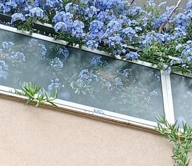 Bordighera House | La Casa di Emy