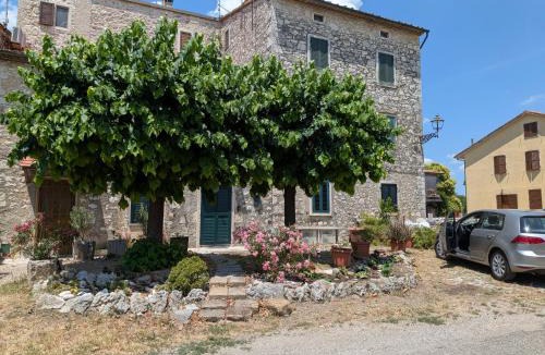 Saturnia Apartment | La casa di Ire