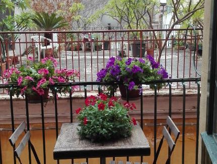 Riposto Apartment | La Casa Rosa