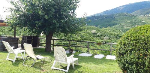 Valdobbiadene House | La Casa Vecchia