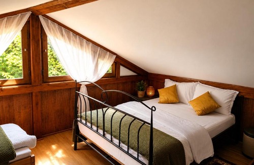 Saliste House | La Cascade - Green Hideaway Casa de vacanta