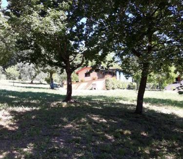 Campestri Ski Chalet | La casetta nel prato